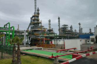 SNEP : baisse de 28% des revenus en 2023