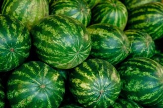 Des résidus d'un pesticide non autorisé dans des pastèques marocaines en Espagne : l'ONSSA réagit