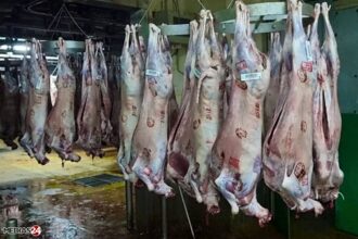 Prix de gros à Casablanca : nouvelle hausse de la viande ovine