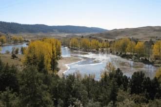 Tourisme vert : ce que proposera le futur Parc national d’Ifrane