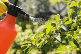 Le commerce des pesticides au Maroc toujours menacé par l'informel