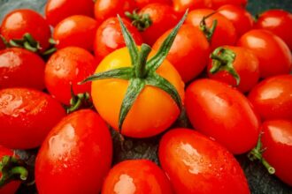 Tomates marocaines : les producteurs français se plaignent, la profession au Maroc nuance