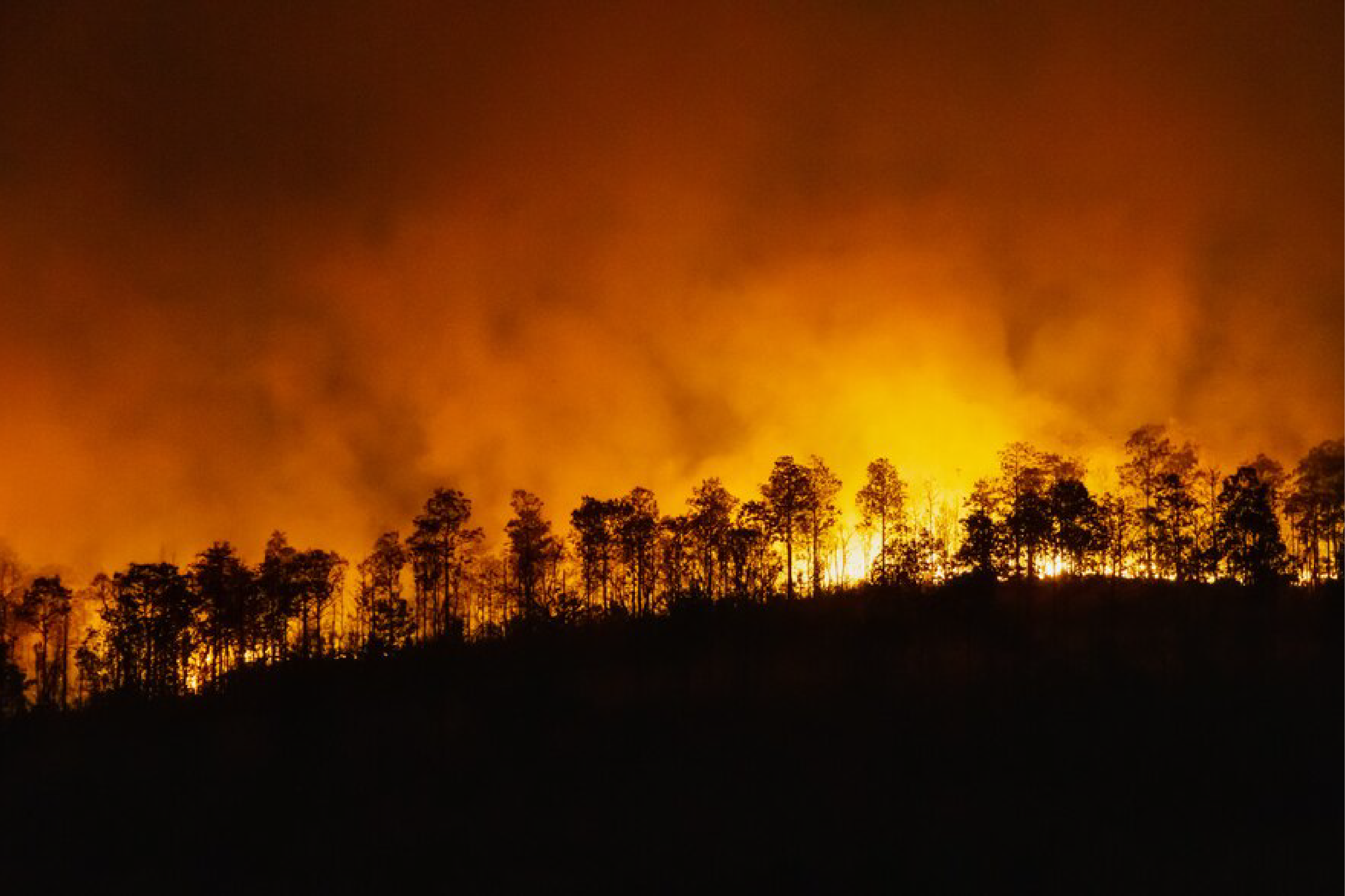 Risques d'incendies de forêt dans plusieurs provinces au Maroc (liste)