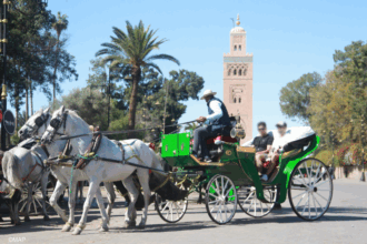 Immobilier. Les prix du mètre carré à Marrakech par arrondissement en 2023