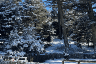Les prévisions météo pour ce vendredi 31 janvier 2025