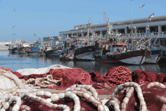 L’accord de pêche Maroc-UE au menu du Conseil des ministres de l’Union européenne