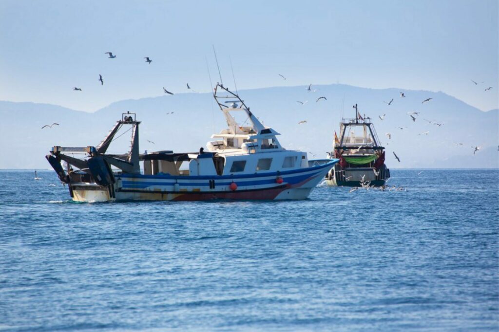 L’Accord de pêche Maroc-UE &ldquo;demeure en vigueur" et se déploiera pour "approfondir le partenariat bilatéral&rdquo; (communiqué conjoint)