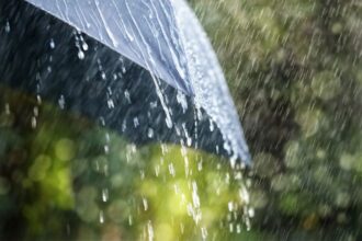 Les prévisions météo pour ce mercredi 5 mars 2025