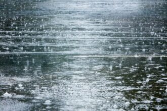 Les prévisions météo pour ce mercredi 12 mars 2025