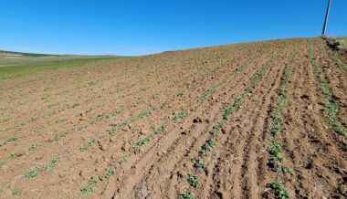 La Cour des comptes dresse un constat alarmant des menaces qui pèsent sur l'agriculure