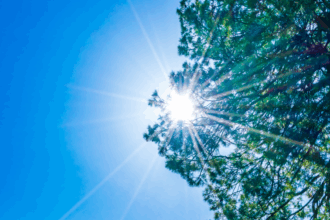 Les prévisions météo pour ce lundi 14 juillet à j-1 d'une nouvelle vague de chaleur
