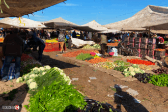 À une quinzaine de jours du Ramadan, stabilité de la volaille et des légumes, augmentation prévue pour la viande rouge