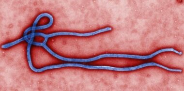 Epidémie d’Ebola, les explications des autorités sanitaires marocaines