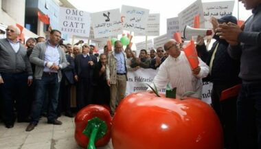 Maroc-UE, réouverture des discussions autour des conditions d'accès des fruits et légumes marocains