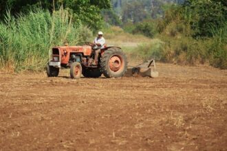 Campagne agricole : le ministère de l'Agriculture livre les premières données