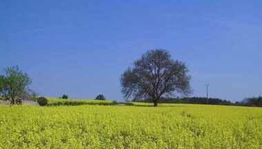 Légère baisse des températures ce lundi 13 mars