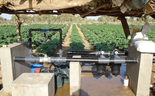 Tout savoir sur l’eau agricole : un entretien avec Ahmed El Bouari, directeur de l’Irrigation et de l’Aménagement de l’espace agricole