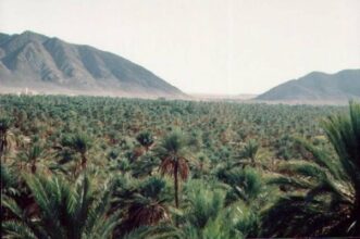 Errachidia: 95 MDH pour l'adaptation des oasis aux changements climatiques
