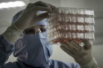 A Lyon, l'étonnante &ldquo;usine à peaux&rdquo; reconstruites de L'Oréal