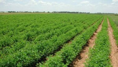 Maroc: 4,5% de taux de croissance pour 2015 (HCP)