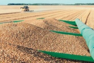Le Maroc va importer 3,6 millions de quintaux de blé tendre de l'UE