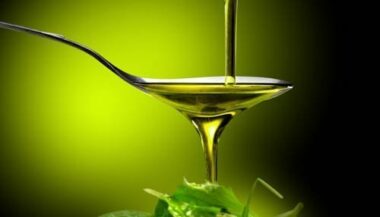Le Maroc participe au salon Sol &amp; Agrifood à Vérone