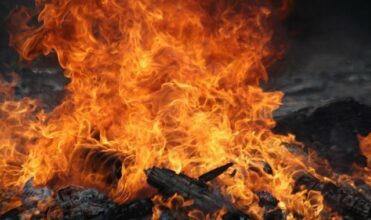 Des massifs forestiers ravagés par le feu près de M'diq