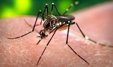 Zika: Naissance en Espagne d'un bébé atteint de microcéphalie, le 1er cas en Europe