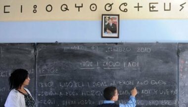 Un &ldquo;buzz&rdquo; pour des réformes de la scolarité