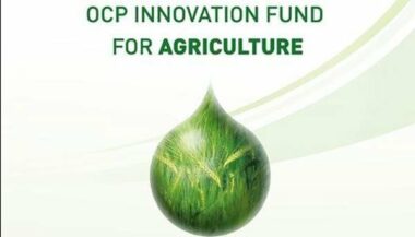 Agriculture: OCP innovation fund lance un appel à projets