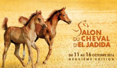 La 9e édition du Salon du cheval d'El Jadida, du 11 au 16 octobre
