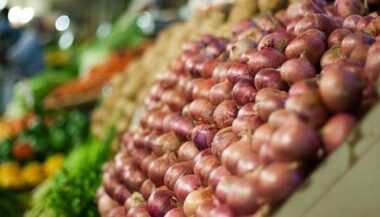 Le Maroc produit 900.000 t d'oignons annuellement