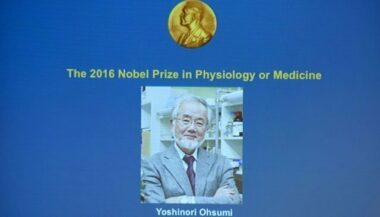 Le prix Nobel de médecine 2016 accordé au Japonais Yoshinori Ohsumi