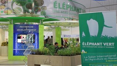 Biofertilisants. Éléphant vert envisage de lancer deux nouvelles unités au Maroc
