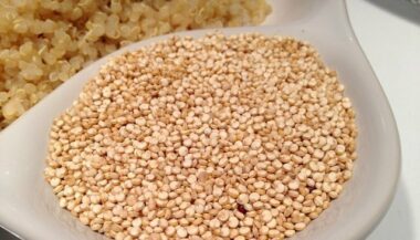Une agriculture résistante à la salinité dans les régions du Sud, c’est possible !