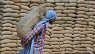 La FAO prolonge sa coopération avec le Maroc avec un financement de 37 M$