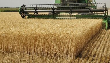 Campagne agricole 2016-2017: le Maroc a produit 96 millions qx de céréales
