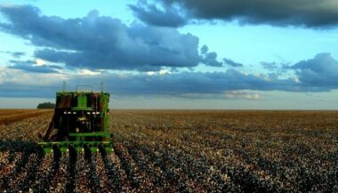Retard des pluies. Des mesures en vue pour sauver la campagne agricole