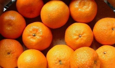 Agrumes. Hausse à l'export, inquiétude pour la clémentine de Berkane
