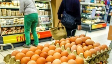 En 2017, le Marocain a consommé 180 œufs