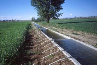 Les défis de l’agriculture marocaine vus par les analystes du ministère des Finances