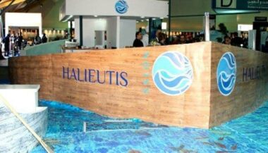 Bilan positif pour Halieutis 2019