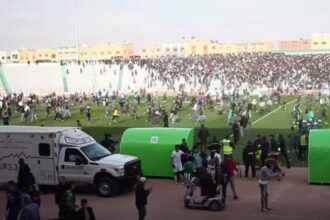 Violences lors du match MCO-RSB: 42 personnes arrêtées