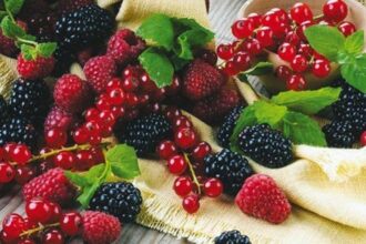 La production nationale de fruits rouges en forte hausse