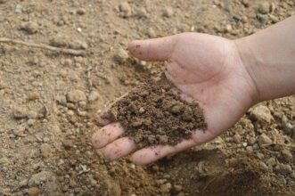 Productivité agricole : La consommation d'engrais toujours faible