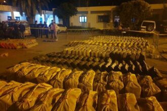 Trafic de drogues: saisie de plus de 12 tonnes de chira à Nador