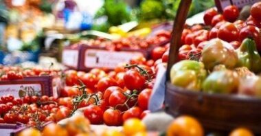 Le Maroc reste le 1er fournisseur de l'Espagne en fruits et légumes