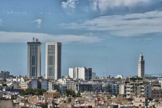 Casablanca: 20 MDH par an pour lutter contre les nuisibles et les chiens errants