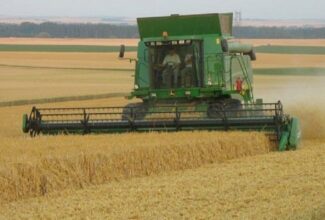 Céréales: 52 millions de quintaux pour la campagne 2018-2019