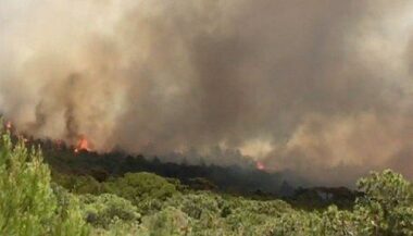 Chefchaouen: 470 hectares de forêt ravagés par le feu